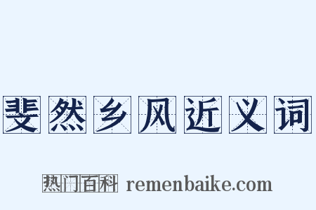 斐然乡风近义词是什么意思的图片